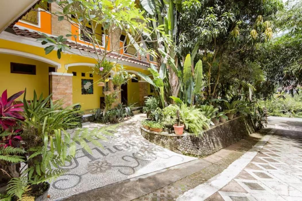 Villa Alicia Maguwo Exteriér fotografie