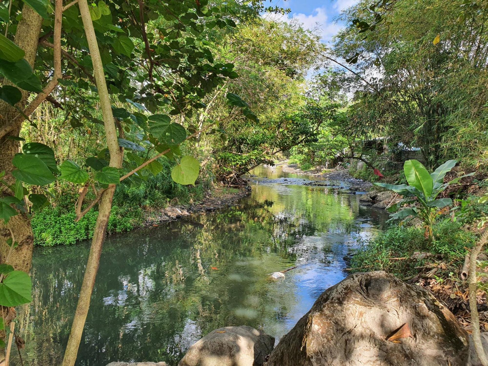 Villa Alicia Maguwo Exteriér fotografie